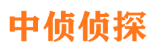 延寿侦探公司